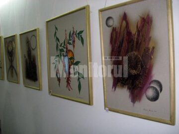Secvență din expoziția Matrice 2011 de la Galeria Pod Pogor - fiul