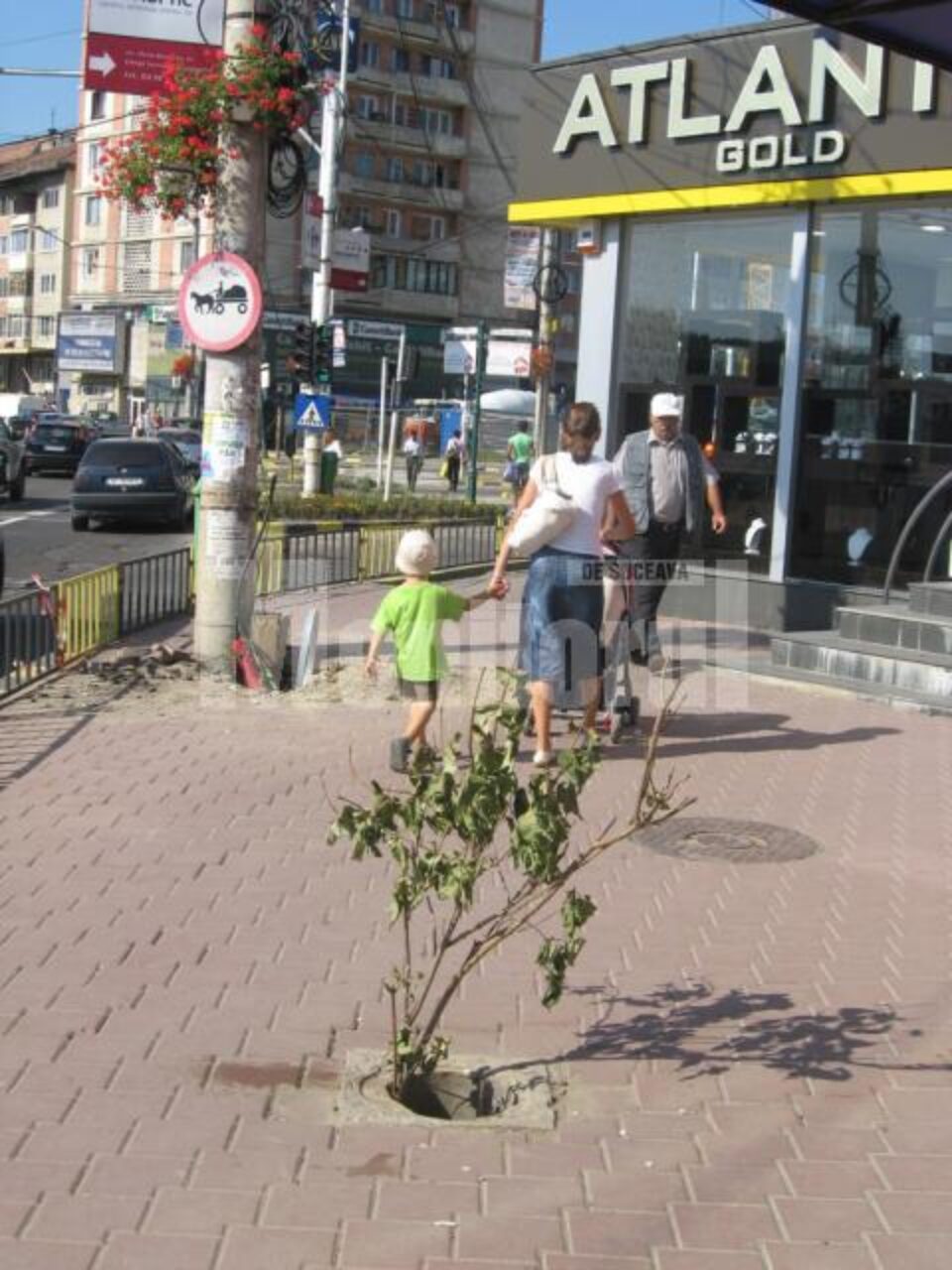 Capcana pentru trecători, semnalizată cu crengi