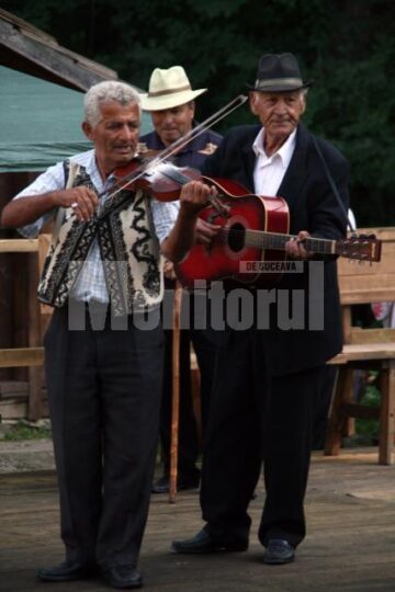 Lăutarul Eugen Budulică