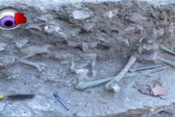 Schelete găsite de arheologi în Cetatea de Scaun a Sucevei