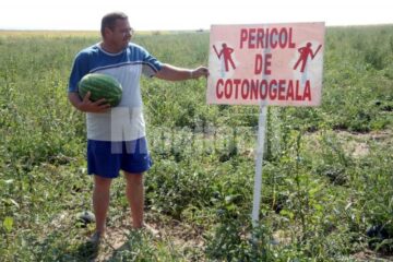 Hoții i-au dat mari bătăi de cap cultivatorului