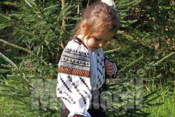 La Festivalul hribului se va deschide o expoziție-concurs de gastronomie pe bază de hribi, ciuperci și fructe de pădure