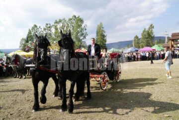 Festivalul Fructelor de Pădure, la Coșna