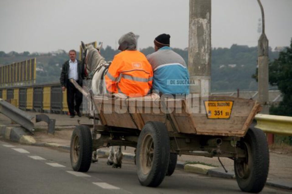 Căruțașii au fost implicați anul acesta în 40 de accidente în județ, majoritatea din vina lor