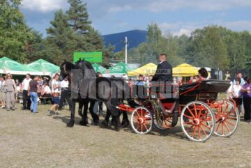Festivalul Fructelor de Pădure, la Coșna