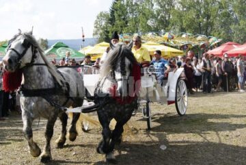 Festivalul Fructelor de Pădure, la Coșna