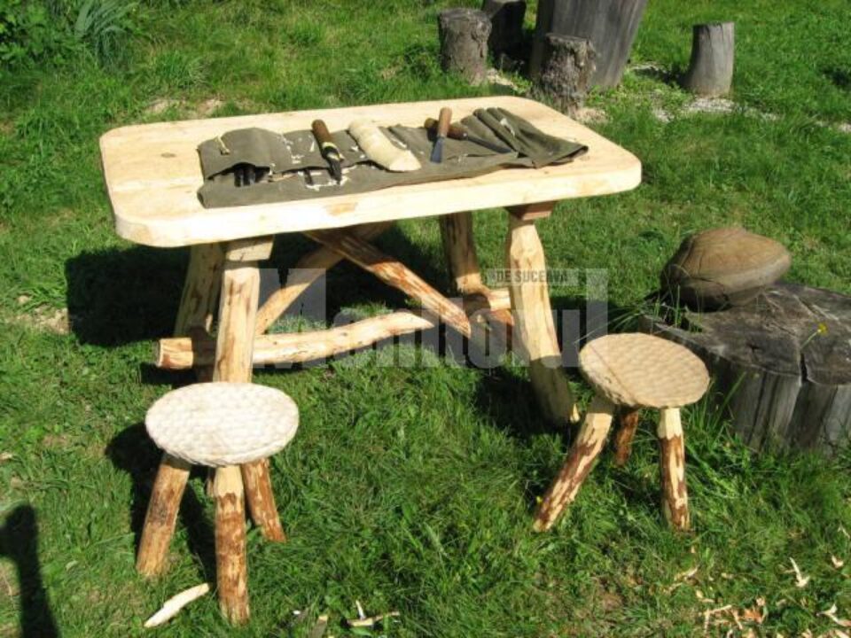 De-ale lui Toader la Sărbătoarea Satului Botoș