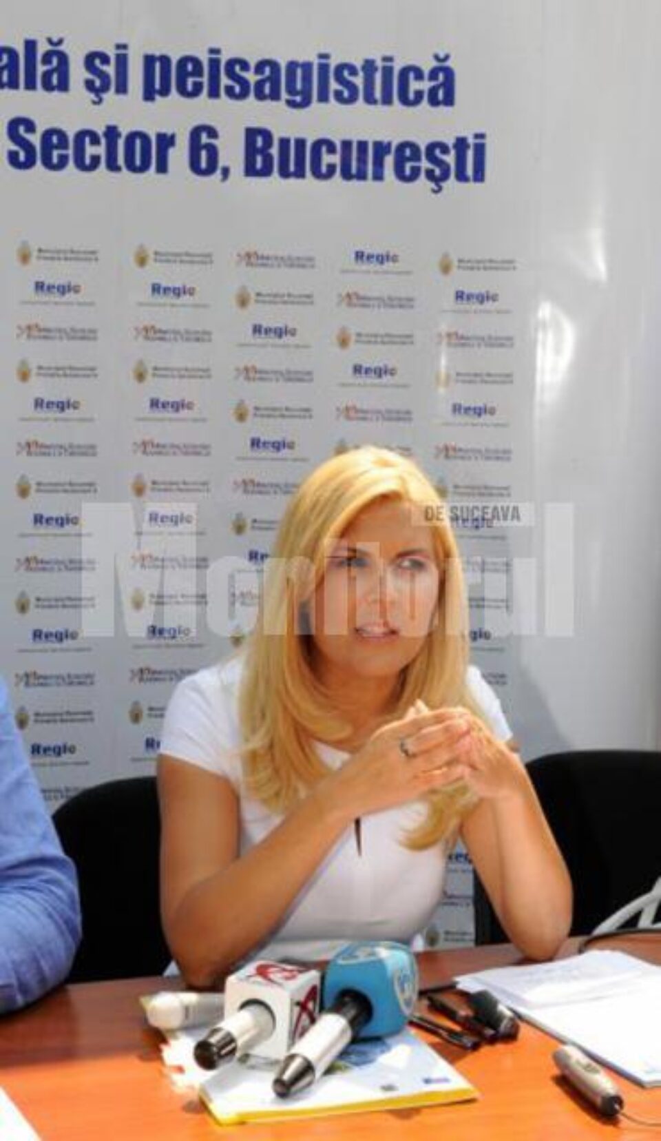 Elena Udrea: O femeie nu poate deveni Prim-ministru sau președinte de partid, pentru că bărbaților politici nu le place să fie conduși de femei