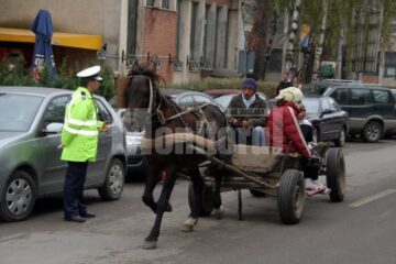 87 de căruțași au fost amendați după un control în trafic