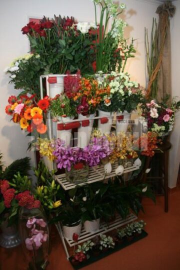 Bun venit printre flori și îngeri, la Casa cu flori!