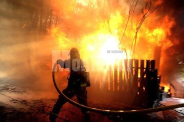 Pentru stingerea incendiului au intervenit pompieri de la Solca și Rădăuți, precum și de la serviciile voluntare din Arbore, Todirești, Comănești și Cajvana