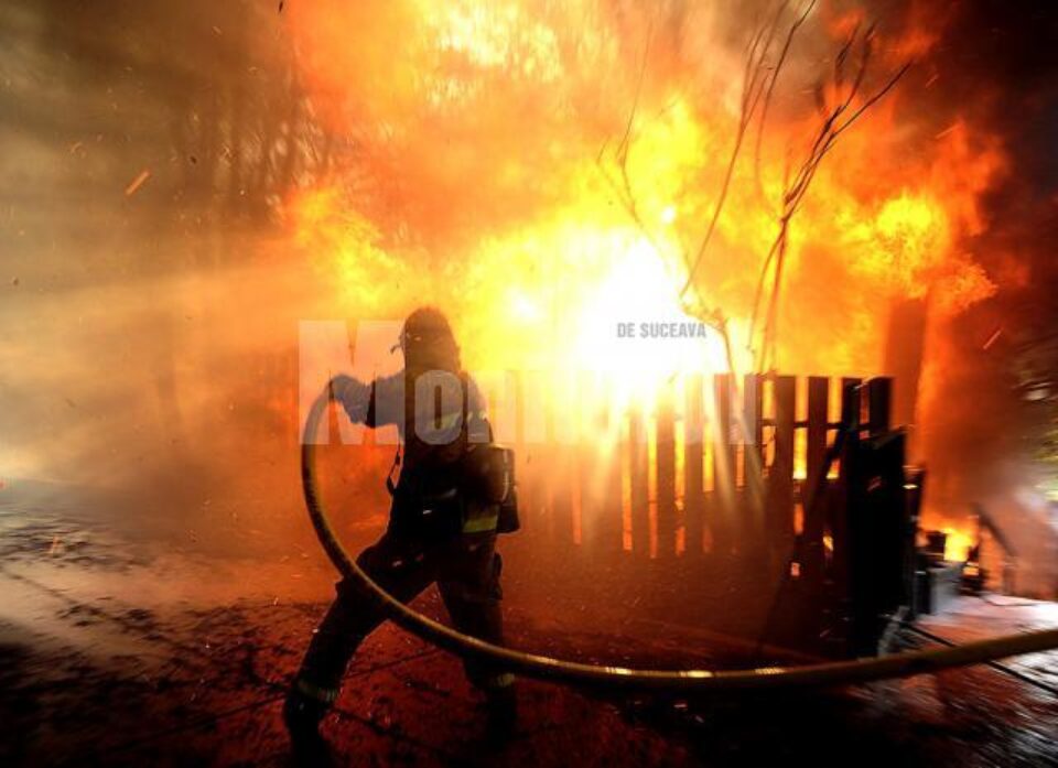 Pentru stingerea incendiului au intervenit pompieri de la Solca și Rădăuți, precum și de la serviciile voluntare din Arbore, Todirești, Comănești și Cajvana