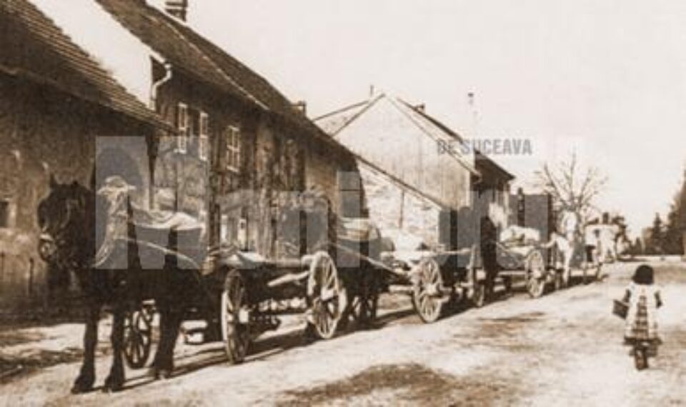 Căruțe