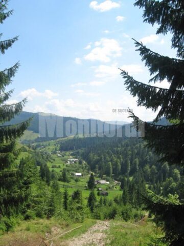Casele Slătioarei, înșiruite în Valea Ursului