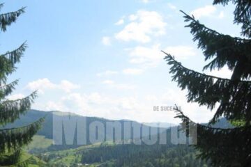 Casele Slătioarei, înșiruite în Valea Ursului