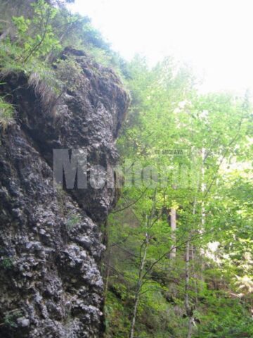 Uriasi de piatra pazesc CheileLacatei