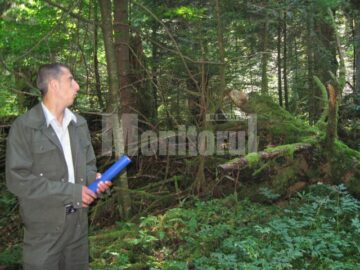 Padurarul Ion Mihalea si padurea pe care o ocroteste