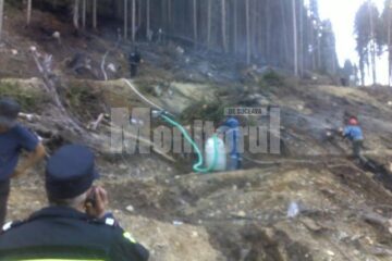Zeci de pompieri și silvicultori au intervenit pentru prevenirea unui incendiu de pădure