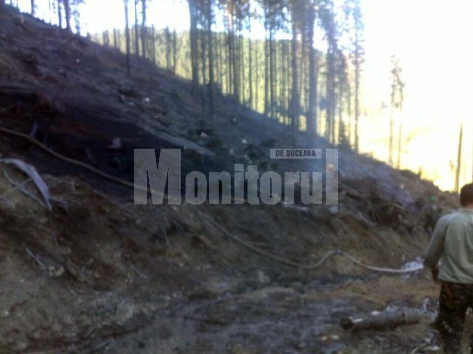 Zeci de cadre ale ISU Suceava și Bistrița-Năsăud au intervenit, sâmbătă, pentru stingerea unui incendiu izbucnit pe mai multe hectare cu resturi de exploatare forestieră