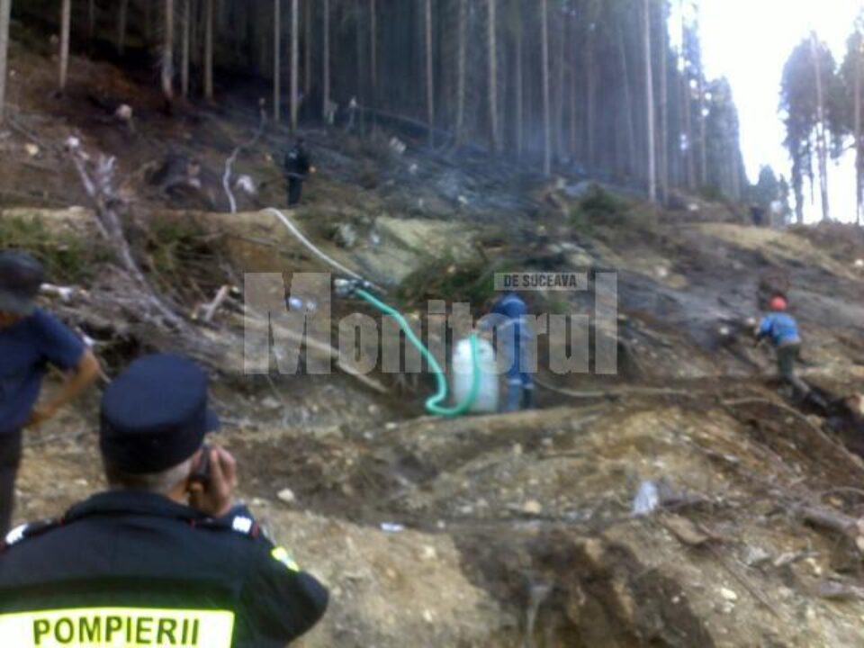 Zeci de cadre ale ISU Suceava și Bistrița-Năsăud au intervenit, sâmbătă, pentru stingerea unui incendiu izbucnit pe mai multe hectare cu resturi de exploatare forestieră