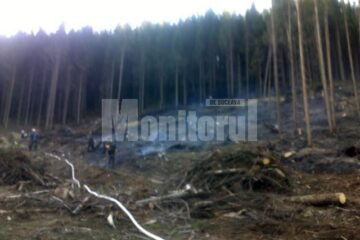 Zeci de cadre ale ISU Suceava și Bistrița-Năsăud au intervenit, sâmbătă, pentru stingerea unui incendiu izbucnit pe mai multe hectare cu resturi de exploatare forestieră
