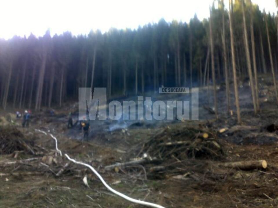 Zeci de cadre ale ISU Suceava și Bistrița-Năsăud au intervenit, sâmbătă, pentru stingerea unui incendiu izbucnit pe mai multe hectare cu resturi de exploatare forestieră