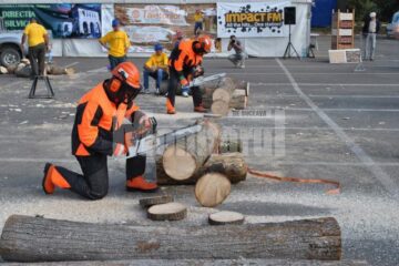 Câștigătorii concursului tăietorilor de lemne