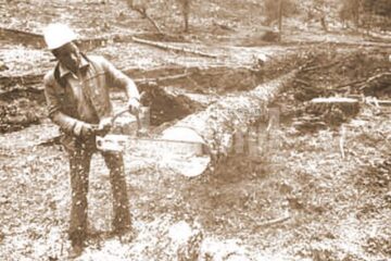 Forestier