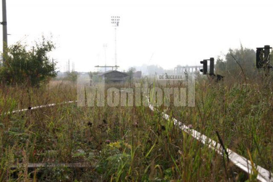 Acum, locul vagoanelor a fost luat de buruieni