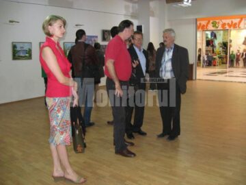 Vizionarea expoziției