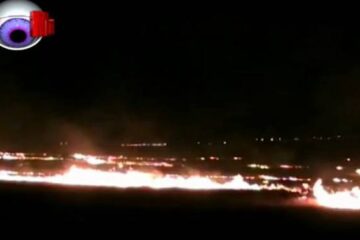 Flăcări pe două hectare de teren de dealul Tătărași