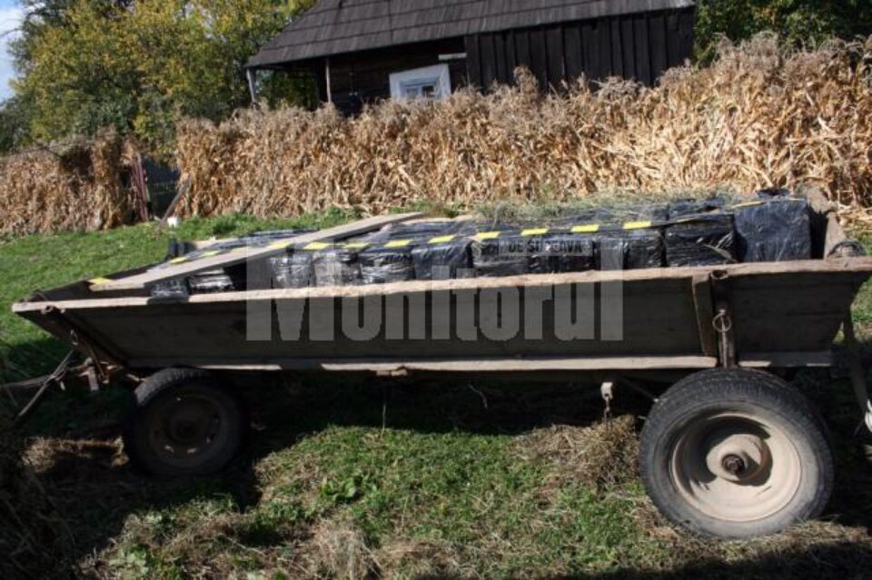 Un cal, un atelaj hipo și șase mii de pachete de țigări, reținute de polițiștii de frontieră