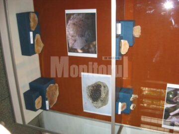 Expoziția va putea fi vizitată până pe 31 octombrie