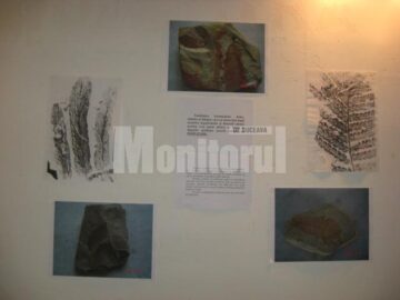 Expoziția va putea fi vizitată până pe 31 octombrie