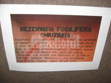Expoziția va putea fi vizitată până pe 31 octombrie