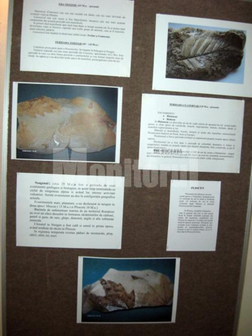 Expoziția va putea fi vizitată până pe 31 octombrie