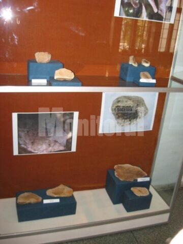 Expoziția va putea fi vizitată până pe 31 octombrie