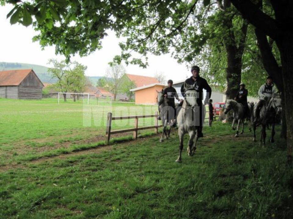 Festivitatea de premiere a câștigătorilor va avea loc sâmbătă, de la ora 17.00