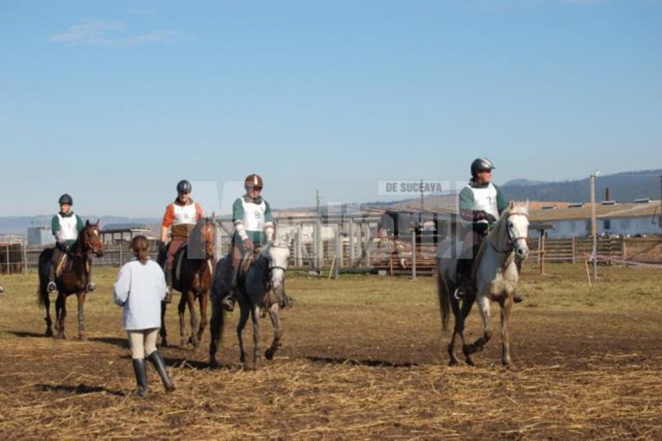 Festivitatea de premiere a câștigătorilor va avea loc sâmbătă, de la ora 17.00