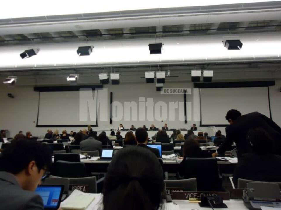 Bogdan Baciu, delegat de tineret al României la ONU