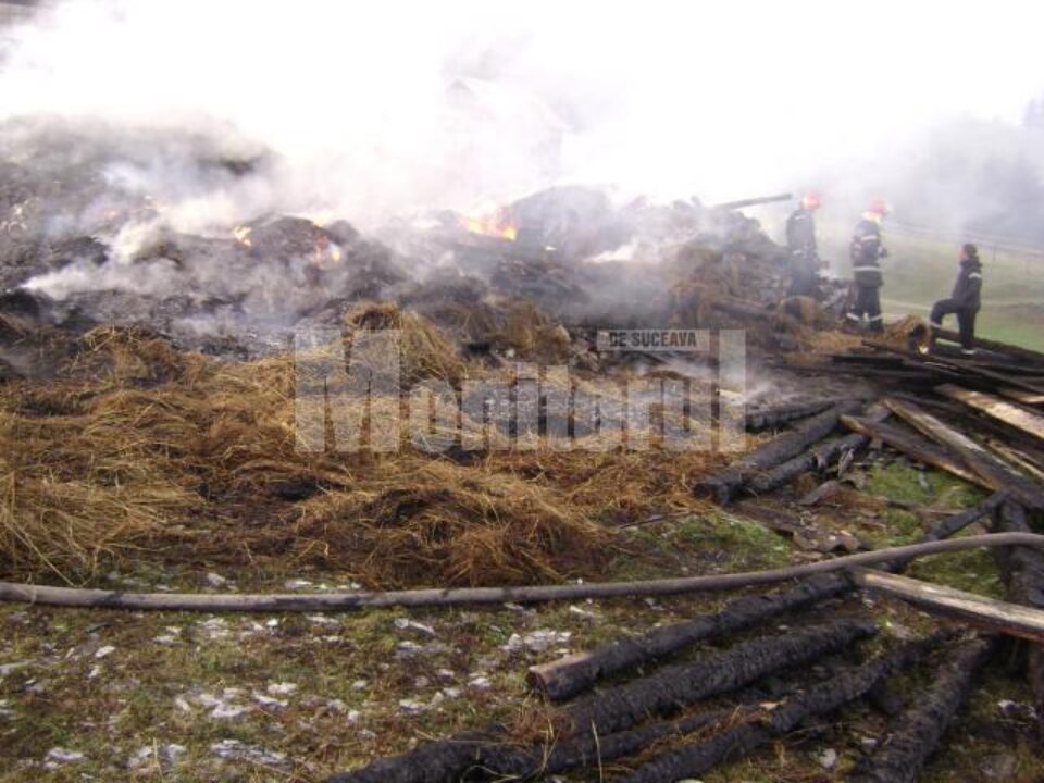 Incendiul a fost stins de pompieri după 12 ore de muncă