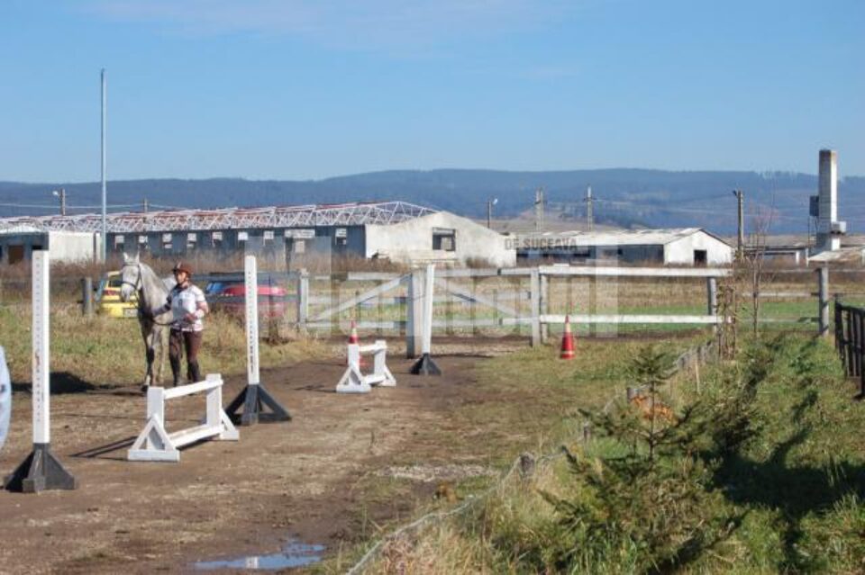 Festivitatea de premiere a câștigătorilor va avea loc sâmbătă, de la ora 17.00