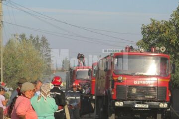 La stingerea incendiului au intervenit zeci de oameni și șase mașini de pompieri