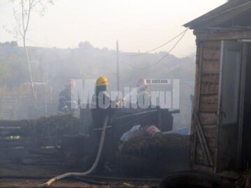 La stingerea incendiului au intervenit zeci de oameni și șase mașini de pompieri