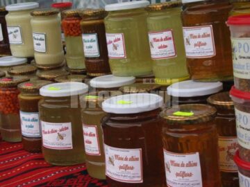 La Câmpulung, Festivalul „Drumul Lemnului” a asimilat în acest an și „Târgul Lăptarilor”