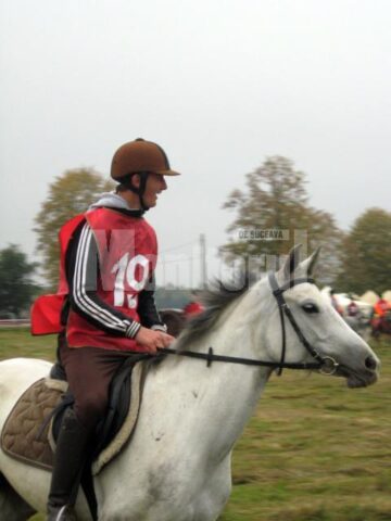 Caii din rasa Shagya arab, câștigătorii finalei Campionatului Național de Anduranță