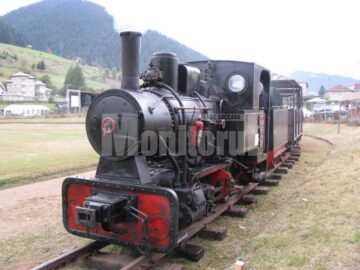 La Câmpulung, Festivalul „Drumul Lemnului” a asimilat în acest an și „Târgul Lăptarilor”