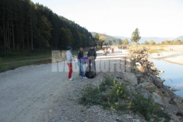 Acțiune de ecologizare
