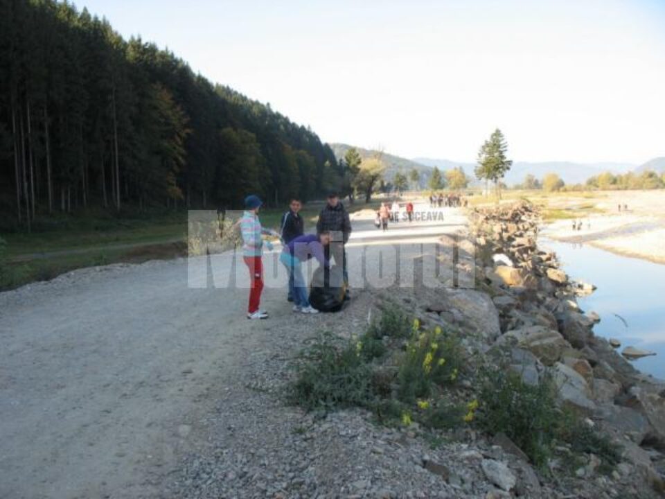Acțiune de ecologizare