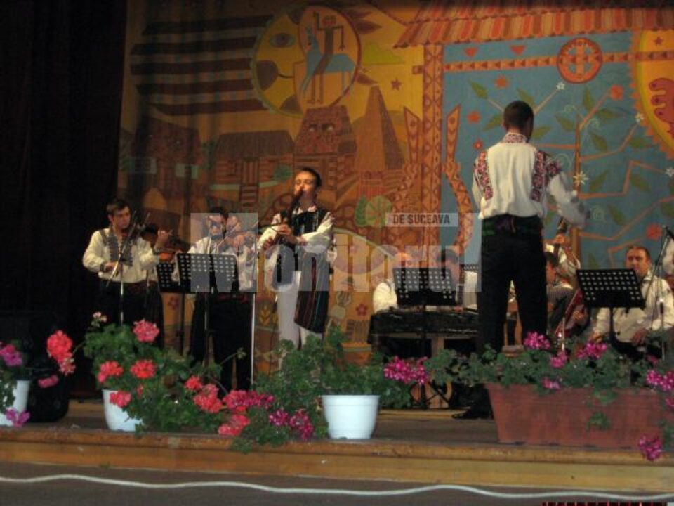 Daniel Anton a impresionat juriul după ce a interpretat piese folclorice la mai multe instrumente populare